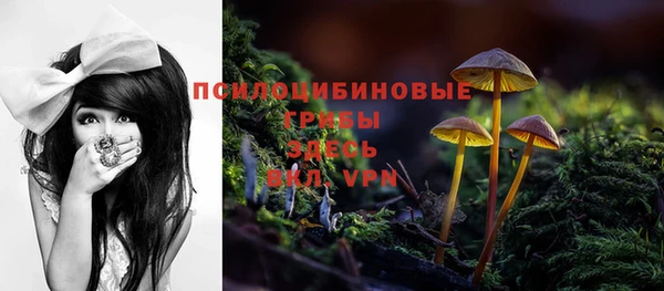 героин Алзамай