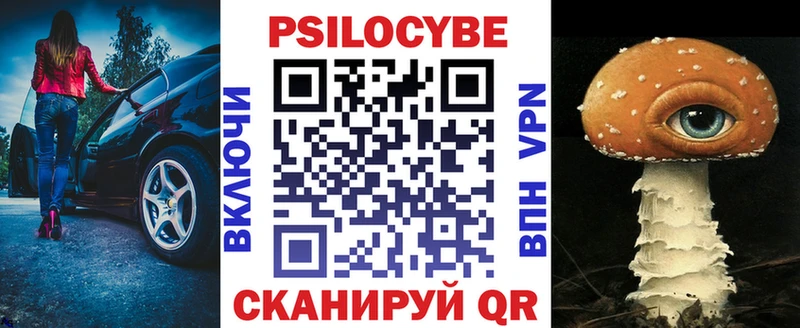 где купить наркотик  Качканар  Галлюциногенные грибы Cubensis 